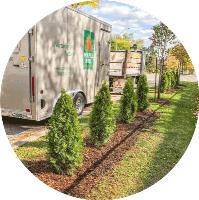 Maple Hill Tree Services image 2